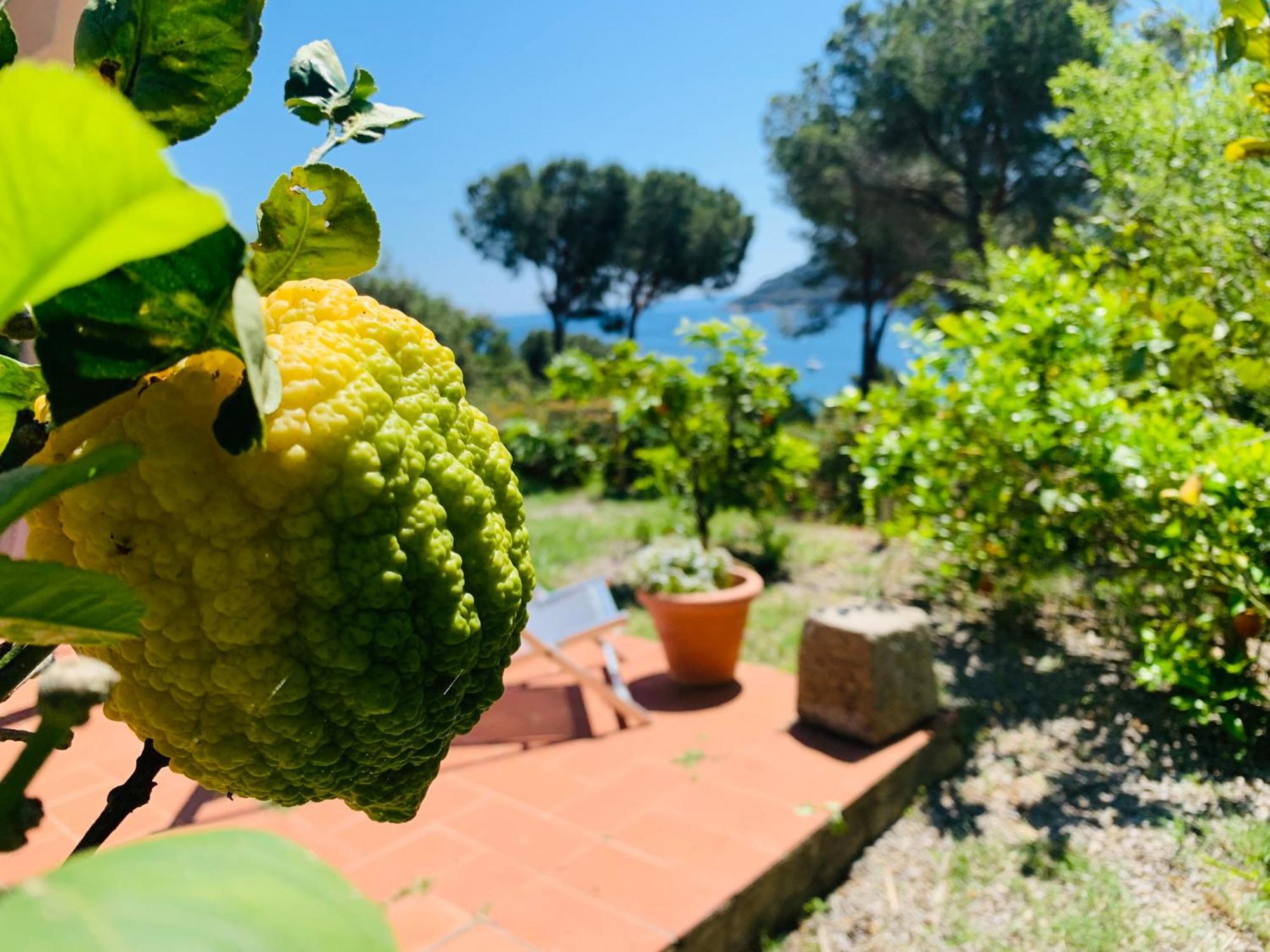 Case Dei Limoni Sul Mare 카폴리베리 외부 사진