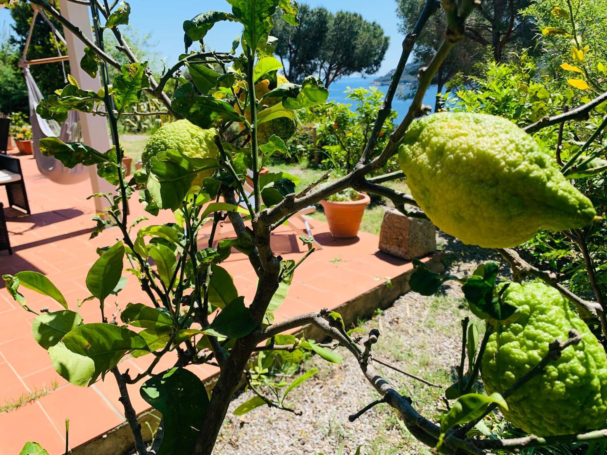 Case Dei Limoni Sul Mare 카폴리베리 외부 사진